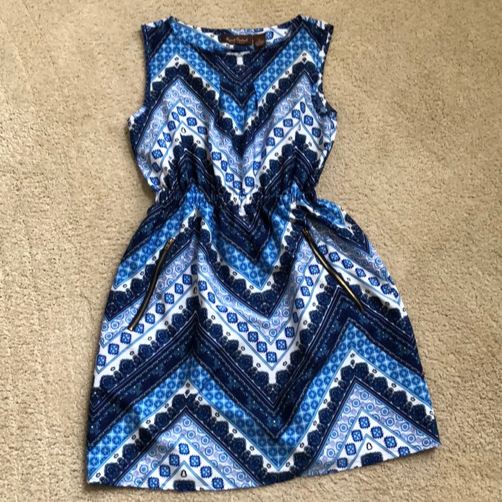 Sleeveless Printed Fit and Flare Spring Dress with Pockets